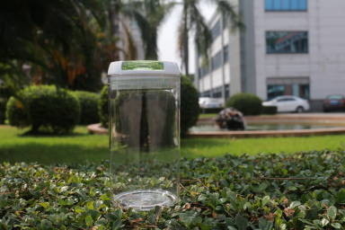 FDA keurde Rekupereerbare Plastic Container met Afsluitbaar Vrij goed Deksel BPA